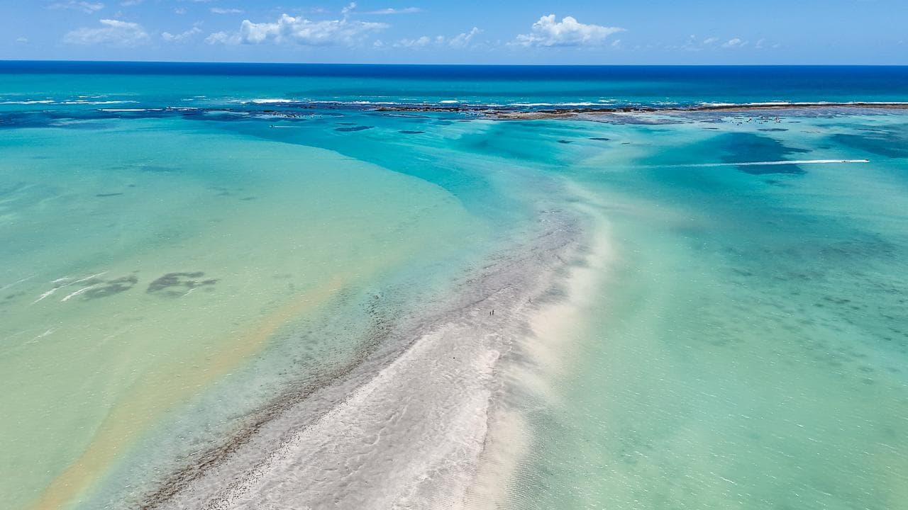 Conheça os Caminhos de Maragogi - 2