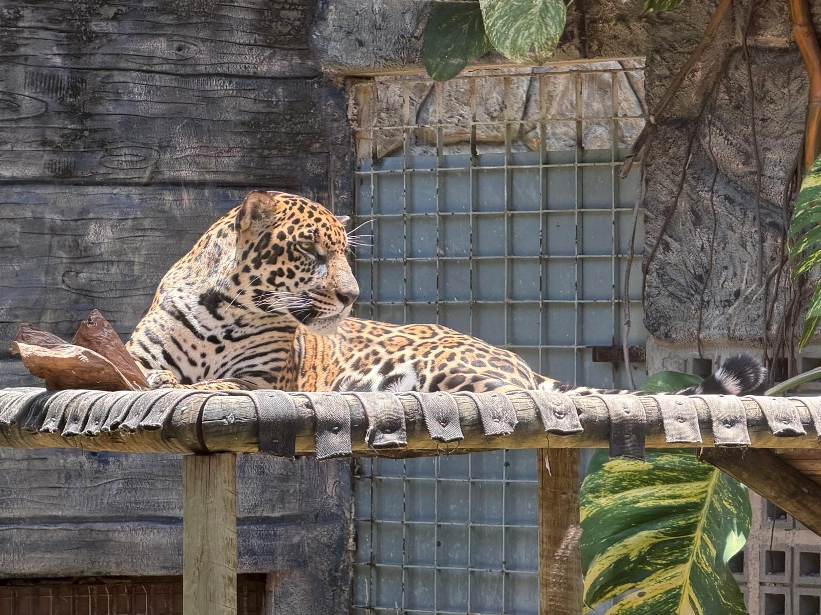 Cultura e Natureza - 2