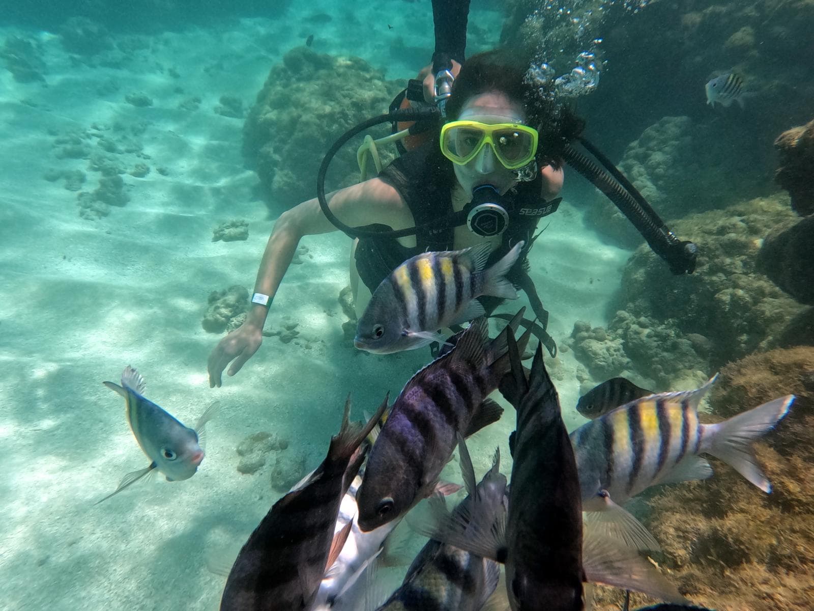 Aventuras Aquáticas - 6